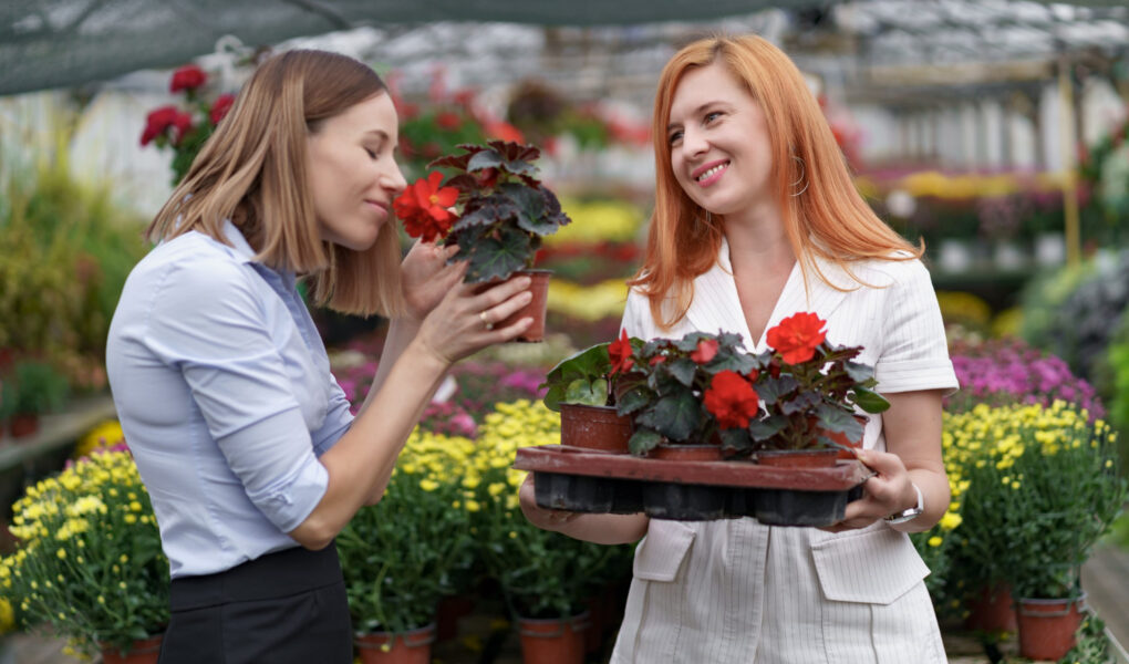 Como Analisar o Comportamento do Cliente para Otimizar Ofertas em Floriculturas