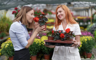 Como Analisar o Comportamento do Cliente para Otimizar Ofertas em Floriculturas